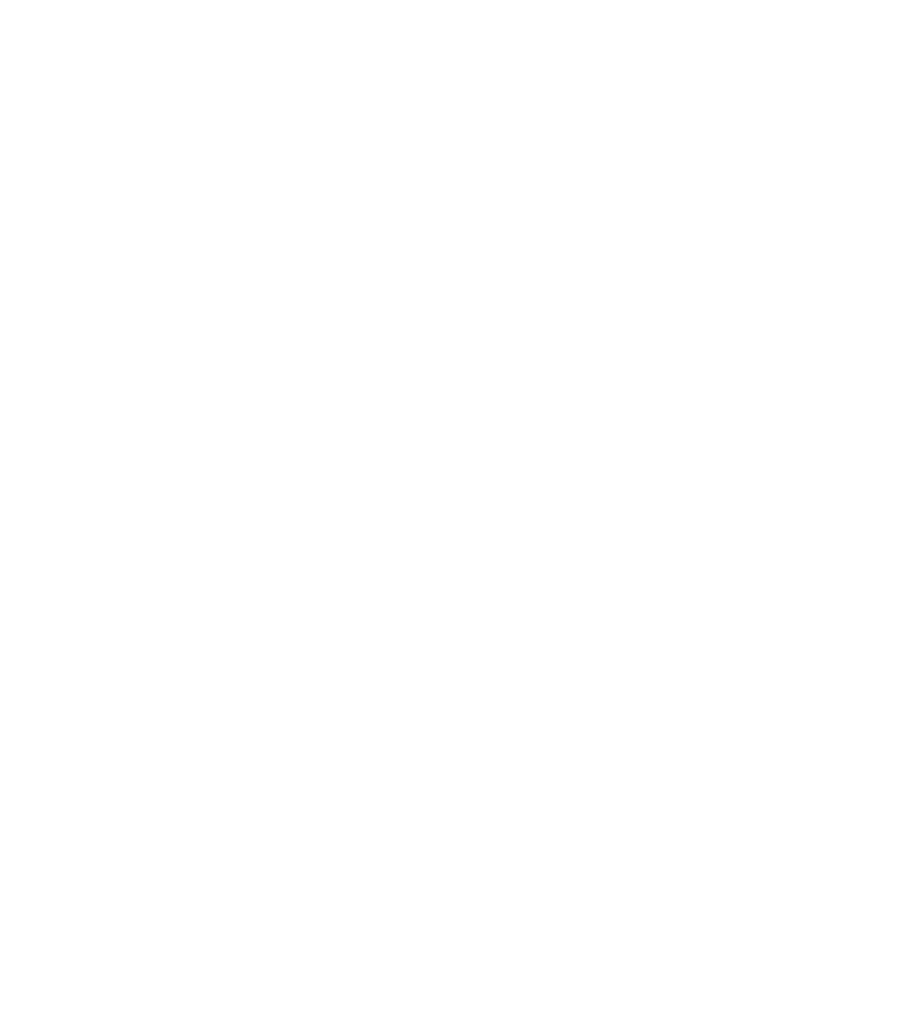 Ai Logo